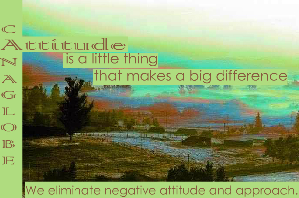 Attitude